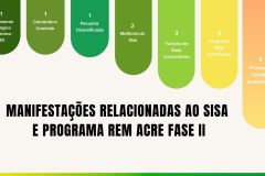 Sisa