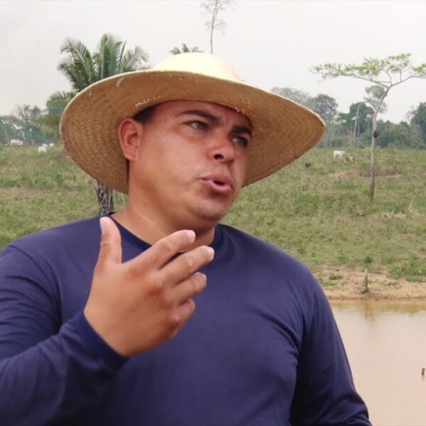 Programa REM Acre financia projeto para redução do desmatamento em áreas de pastagens