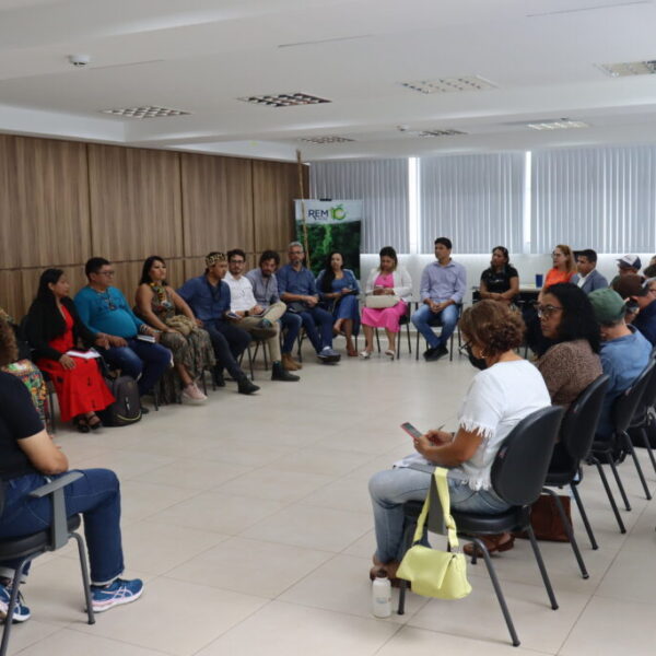 Instituto de Mudanças Climáticas fortalece a transparência das ações de governança do Sisa