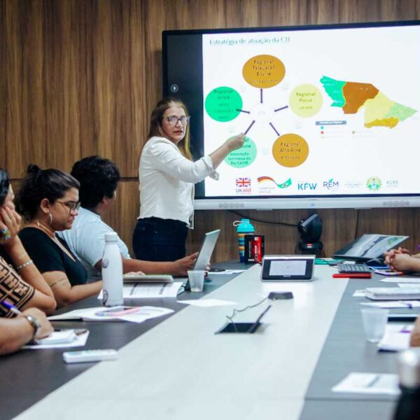 Após amplo debate, membros elaboram regimento interno da Câmara Temática Indígena