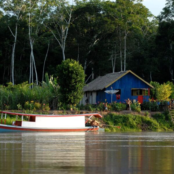 Governo promove workshop sobre mercado de carbono e programa de REDD+ Jurisdicional neste domingo