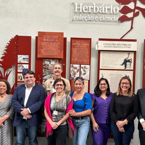 Governo do Acre e Instituto Jardim Botânico concluem planejamento para formação em monitoramento