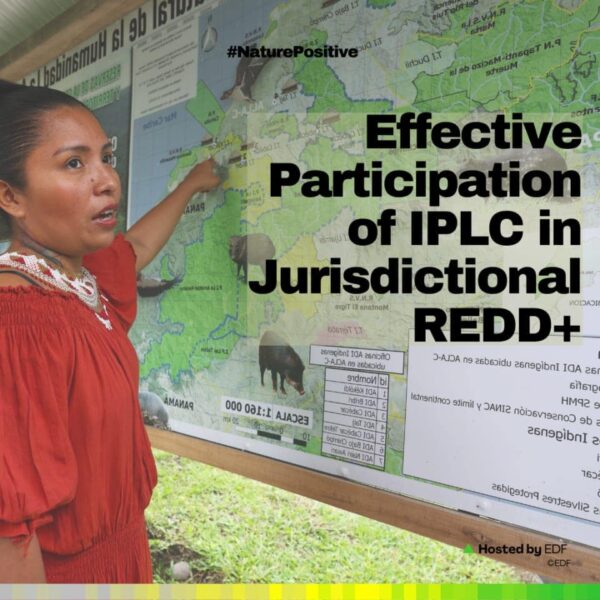 Gestores debatem participação dos povos indígenas e comunidades tradicionais em projetos de REDD+ Jurisdicional