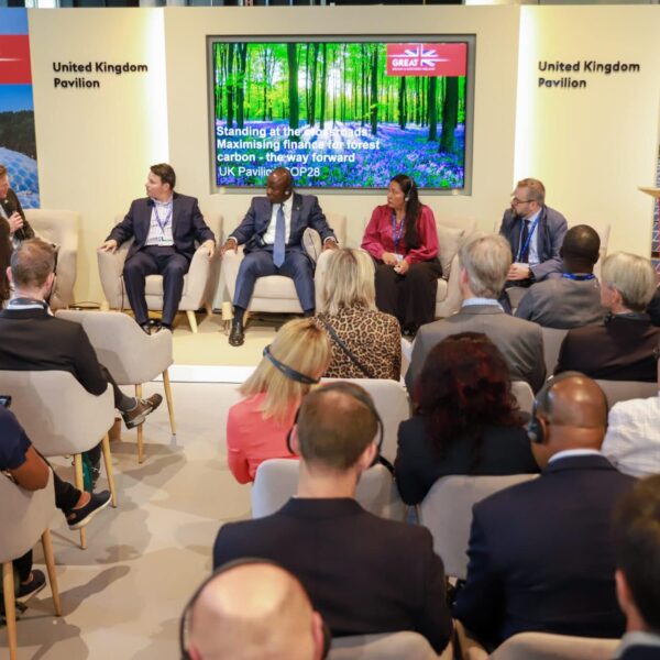 Acre defende mais recursos para programas de REDD+ Jurisdicional em painel do Reino Unido na COP28