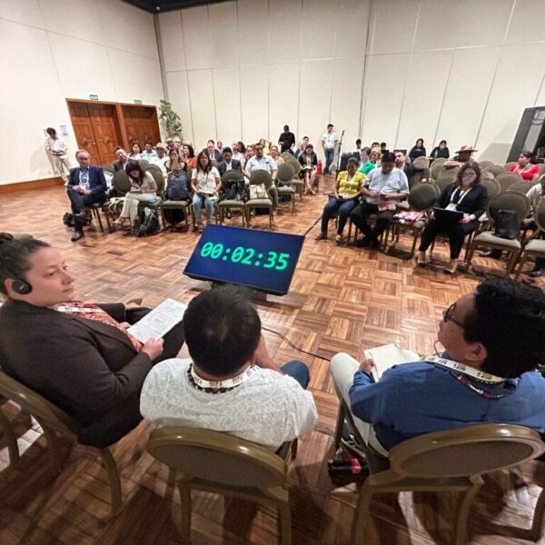 Acre é destaque em painéis sobre parcerias, políticas públicas e governança em intercâmbio técnico da GCF