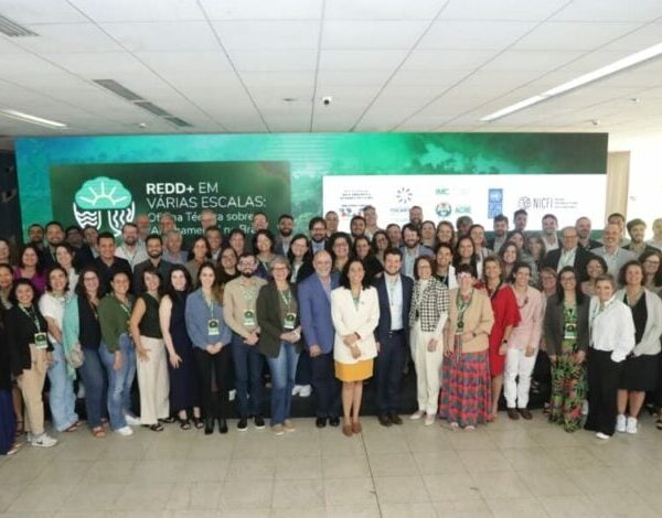 Acre e Tocantins lideram oficina técnica para conformidade de projetos privados e jurisdicionais para geração de crédito de carbono no Brasil