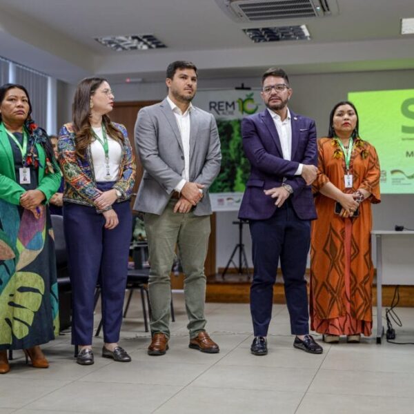 Membros da sociedade civil dialogam sobre fortalecimento da governança com representantes da Alemanha e do Reino Unido