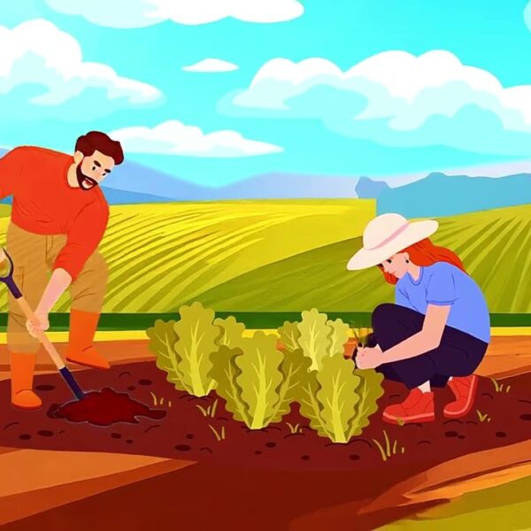 ACRE: PIONEIRO EM REDD+ JURISDICIONAL