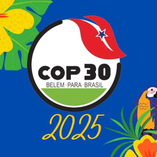A COP 30