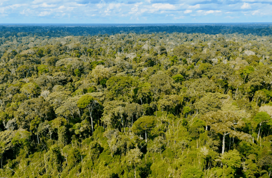 Acre registra redução de 27,62% no desmatamento e cumpre metas anuais do Plano de Prevenção e Controle do Desmatamento e Queimadas