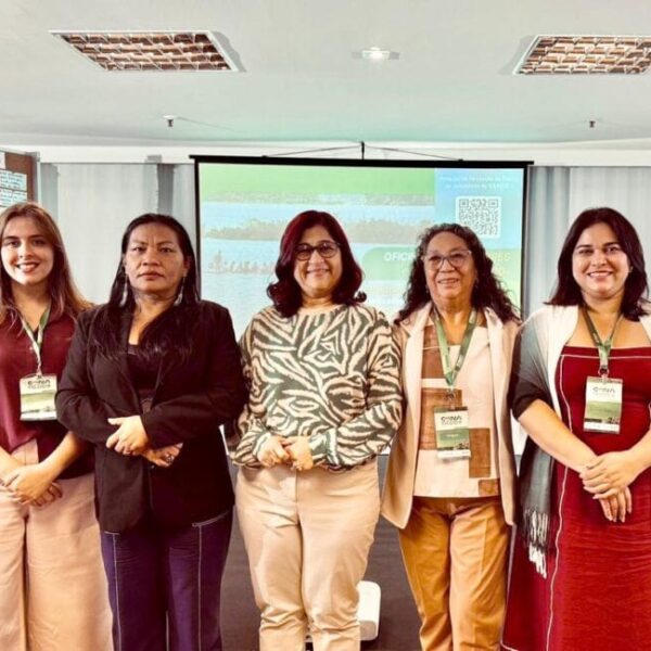 Acre participa da Oficina de Indicadores do Sistema Nacional de Salvaguardas e reforça compromisso com a transparência das ações de REDD+