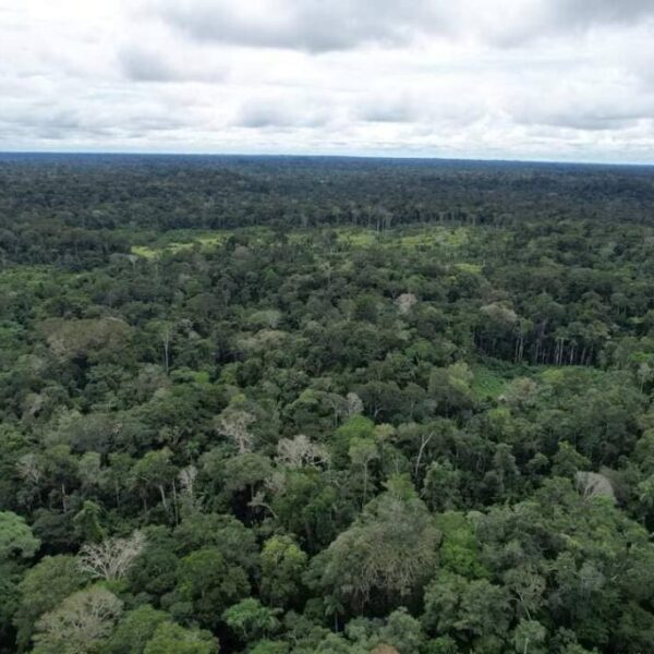 Governo do Acre e Programa REM fortalecem ações contra desmatamento e geram resultados positivos para o estado