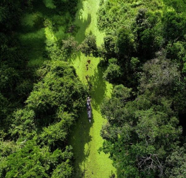 Acre obtém aprovação final para fase de validação e verificação no padrão internacional de alta integridade para geração de créditos de carbono