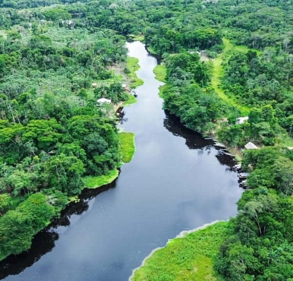 Acre encerra o ano consolidado como referência global em clima, floresta e governança ambiental