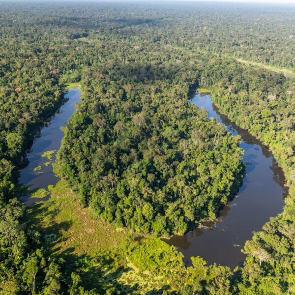 Com transparência, Acre avança para fase de verificação internacional rumo ao padrão de excelência ambiental