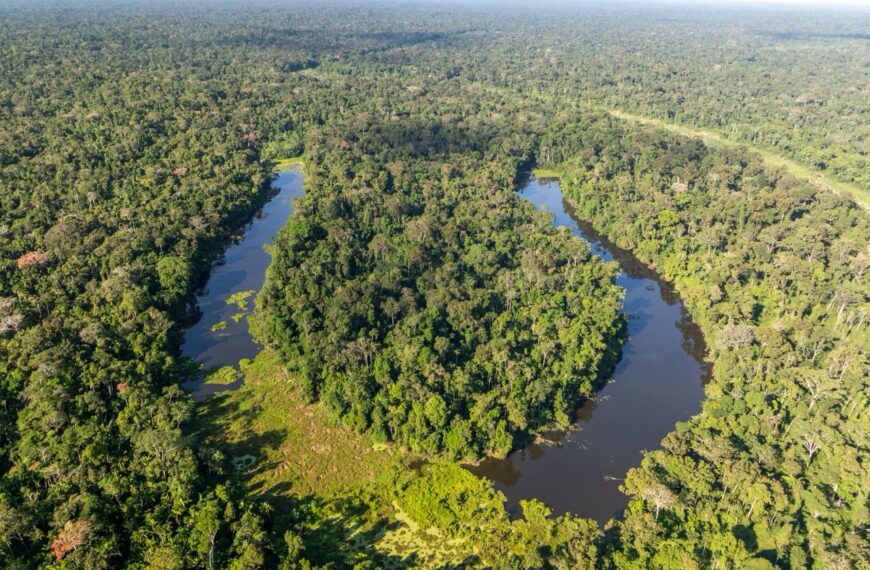 Com transparência, Acre avança para fase de verificação internacional rumo ao padrão de excelência ambiental