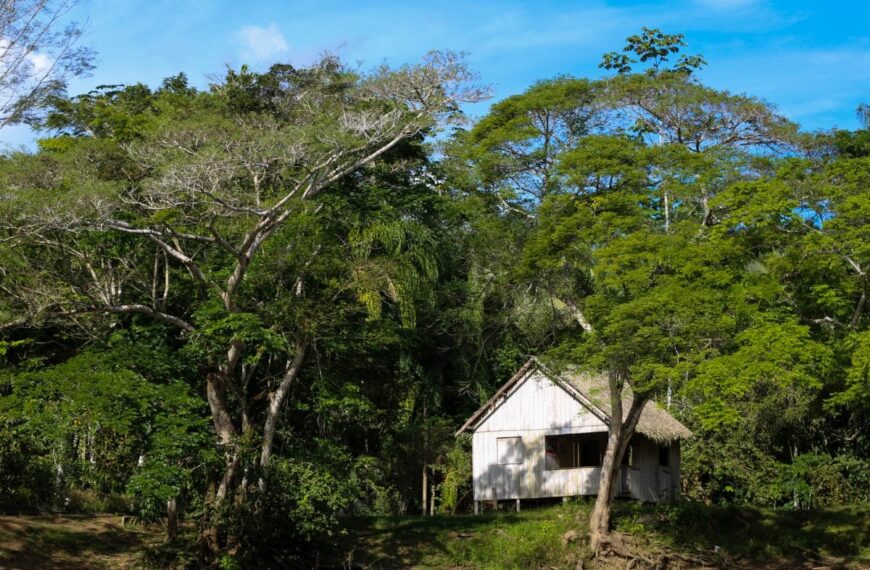 Governo do Acre lança edital de apoio a projetos de recuperação de áreas degradadas e enfrentamento aos extremos climáticos