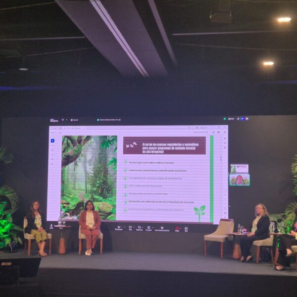 Acre leva expertise a evento de alto nível para implementação de modelo de REDD+ jurisdicional na Bolívia