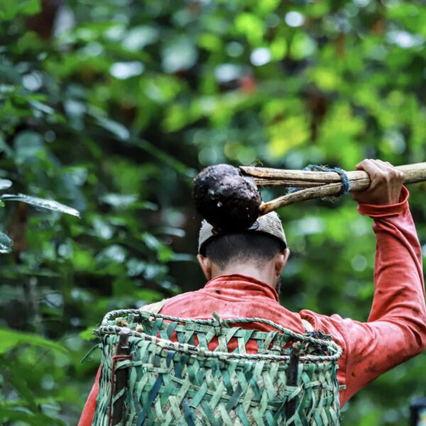 Com investimentos de R$ 4,5 milhões, inscrições para edital de apoio a projetos de recuperação de áreas degradadas e enfrentamento aos extremos climáticos são prorrogadas